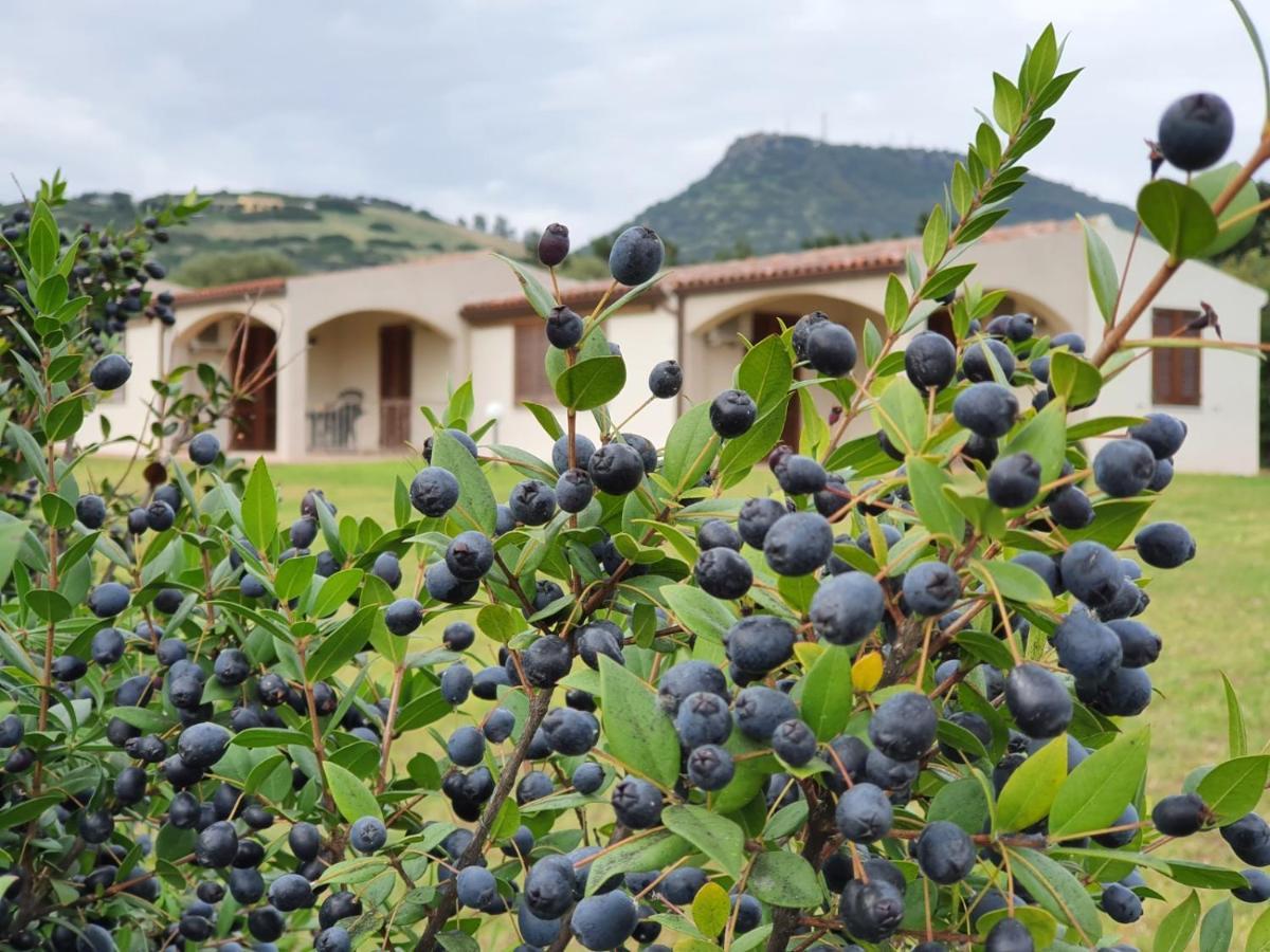 발레도리아 La Casa Di Spinosella 아파트 외부 사진